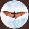 bats@lemmy.world avatar