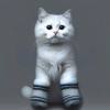 @Kitten_Mittens@lemmy.world avatar