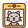 catsubs avatar
