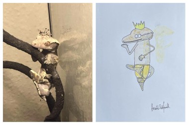 A photo of a gecko wearing a crown and clingint to a branch, next to a drawing of the same that is also wearing underpants