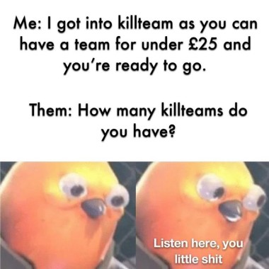Me: I got I to kill team as you can have a team for under £25 and you're ready to go. Them: How many killteams do you have? [Picture of a weird plastic chicken mascot with bulging eyes looking down silently.] [Same creature, looking to the side, captioned.] Listen here, you little shit