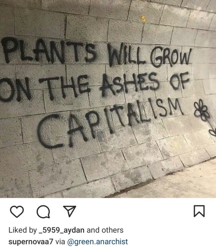 Pic of a grey tunnel wall, where this is spray painted in black: Plants will grow on the ashes of capitalism 🌻