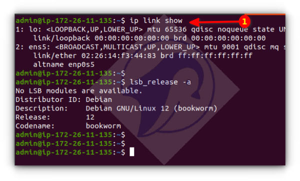 This screenshot shows `ip link show` and `lsb_release -a` commands outputs on screen.