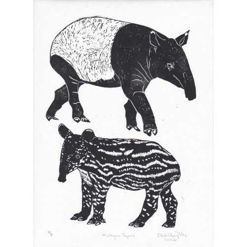This linocut is of both an adult and baby Malayan tapir. The adult is facing right and is on the top of the print. It’s a heavy quadruped with a trunk. It’s black with white saddle pattern. Below is the juvenile tapir facing left. It is smaller with rounder ears and shorter trunk. It is black with a pattern of spots in stripes like a faun.

This lino block print is printed on Japanese kozo, or mulberry paper 23.5 cm by 31.7 cm (9.25 inches by 12.5 inches).