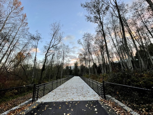 Wide angle view of a paved trail onto a boardwalk surrounded by trees under an evening sky
