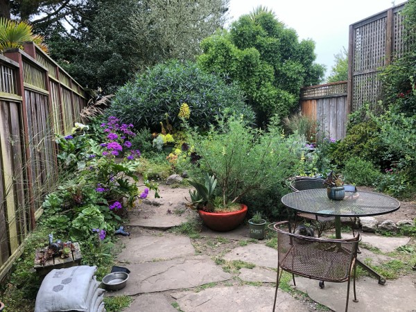 A view of our patio and the garden beyond, taken from our back door. The wrought iron patio table and chairs which my parents bought forty years ago sit atop flagstones. A wooden fence can be seen from either side.