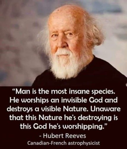 "Man is the most insane species. He worships an invisible God and destroys a visible Nature. Unaware that this Nature he's destroying is this God he's worshipping." - Hubert Reeves Canadian-French astrophysicist 