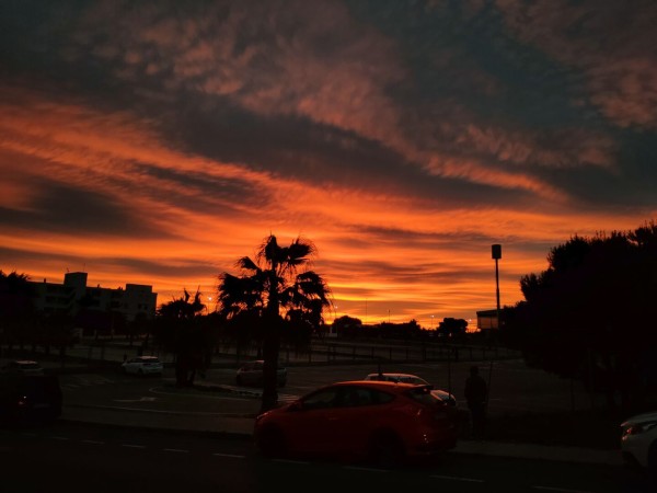 Picture of the sunrise , with orange clouds and palm-trees on the foreground.