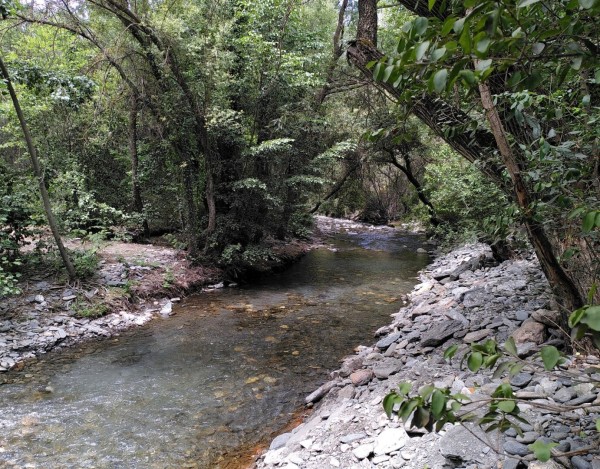 Río Genil a su paso por Güejar Sierra