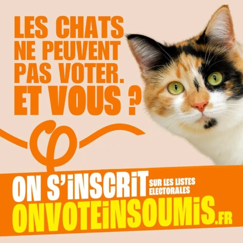 affiche LFI: les chats ne votent pas, et vous?