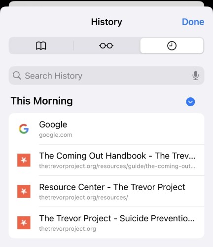 Browser history in Safari on an iPhone showing multiple Trevor Project entries after using their quick exit feature which the comic in the OP claims will erase.