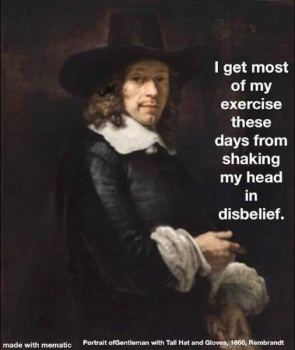 Meme: Rembrant Portrait of a Gentlenman with a Tall Hat & Gloves (1660), looking out at the viewer. 

Slogan: 'I get most of my exercise these days from shaking my head in disbelief'