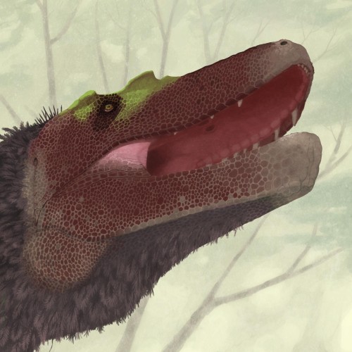 A life portrait of Gorgosaurus, with its mouth open, teeth barely visible.