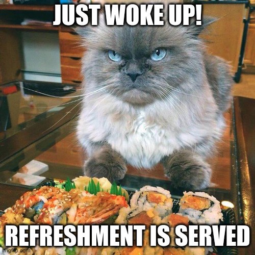 Meme. Grumpy cat just woke up in front of a bowl of sushi. Refreshment is served. But grumpy cat is grumpy.