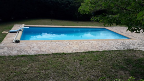 Une piscine turquoise avec son plongeoir entourée d'une terrasse en pierre qu'il faut faire sauter et d'un truc qui a été une pelouse avant d'être une étendue piquante de désolation végétale 