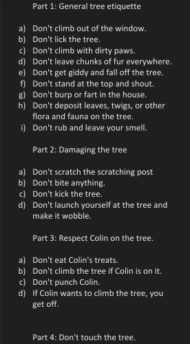A list of rules on a black background. Text: 
Part 1: General tree etiquette

a) Don't climb out of the window.
b) Don't lick the tree.
c) Don't climb with dirty paws.
d) Don't leave chunks of fur everywhere.
e) Don't get giddy and fall off the tree.
f) Don't stand at the top and shout.
g) Don't burp or fart in the house.
h) Don't deposit leaves, twigs, or other flora and fauna on the tree.
i) Don't rub and leave your smell.

Part 2: Damaging the tree

a) Don't scratch the scratching post
b) Don't bite anything. 
c) Don't kick the tree.
d) Don't launch yourself at the tree and make it wobble.

Part 3: Respect Colin on the tree.

a) Don't eat Colin's treats.
b) Don't climb the tree if Colin is on it.
c) Don't punch Colin.
d) If Colin wants to climb the tree, you get off.

Part 4: Don't touch the tree.