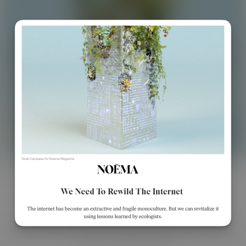 We Need To Rewild The Internet — Noema