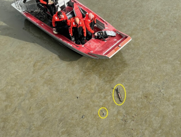 Two strange looking fish in mudflats... (actually two guns)