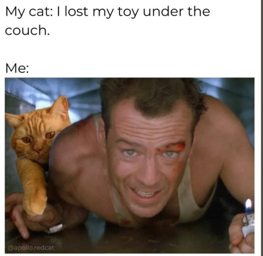 My cat: I lost my toy under the couch. 

Me: (a picture of bloody Bruce Willis crawling on the floor and a cat is right beside him over his shoulder. It looks like Bruce is trying to be as low as possible.)
