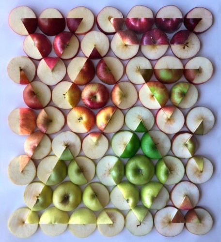 Photography. A color photo of an arrangement of red and green apples, apple peels and cut slices that form a geometric shape. Almost 60 pieces of apple are arranged on a white surface to form a geometric play of colors. These are multi-colored, sliced, only cut and partially peeled apples arranged in rows of varying lengths to form a pattern with colored triangles. 
Info: The artist Adam Hillman creates detailed, abstract patterns using everyday objects and food as media. His works are based on optical illusions and the vibrancy of colors. Objects arranged in aesthetically rigorous patterns create compelling compositions. Unprocessed photos without tricks.