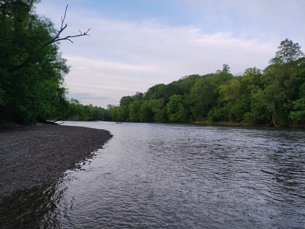 A gravel bank and green trees flank the river.