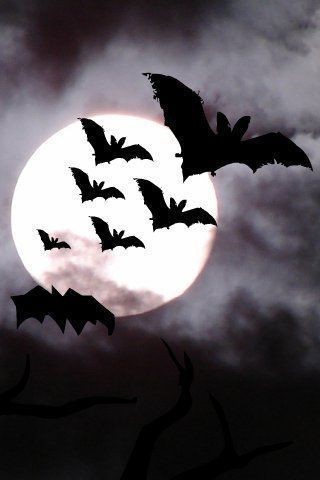 Bats flying through the night

Behind them: clouds and a big full moon

