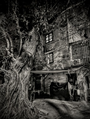 A late night photo of a banyan tree growing just outside of a Hanoi apartment block. The trunk of the tree is in the left foreground. Its surface is a tangle of aerial roots and other assorted creepers. Beyond it is the large flat expanse of the apartment block side wall with a couple shuttered windows and a caged-in balcony. Below, a weathered sign advertises a Saigon-style crushed ice dessert (Chè Sài Gòn). We can just make out the folding tables and chairs packed away beneath a tarp against the wall.