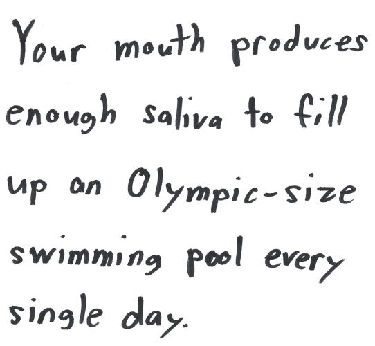 Your mouth produces enough saliva to fill up an Olympic-size swimming pool every single day.