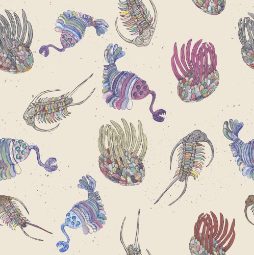 As described this is a square image of a repeat pattern of my linocuts of three Cambrian invertebrates, each printed with each section on a different patterned and coloured Japanese washi paper. The background is sand coloured with brown speckles. The animals are in multiple colours. The animals are spiky ovoid Wiwaxia, Opabinia (somewhat like a shrimp with 5 eyes on stalks and a trunk like tubular proboscis with grasping claws) and the trilobite Cheirurus ingricus.