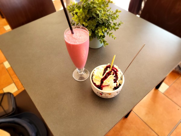 A cup with ice cream on the right side, a shake on the left side, and a flower plant in the back. Everything on a table. 