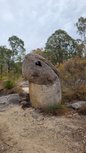 'Cock Rock' with a hat on it