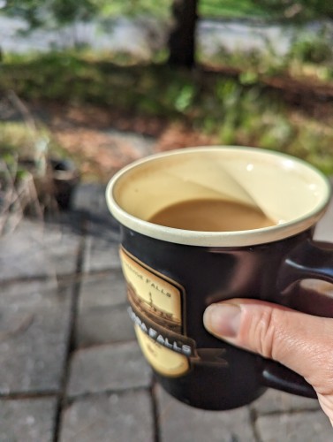 Hand holding a mug with coffee, stone porch in the background and greenery.