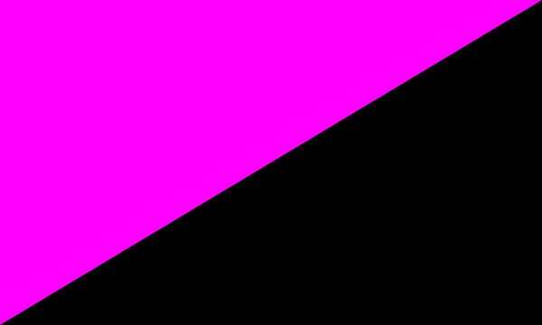A queer anarchist flag. A flag one can really get behind should represent their beliefs and who they are, not a place they were randomly born in.