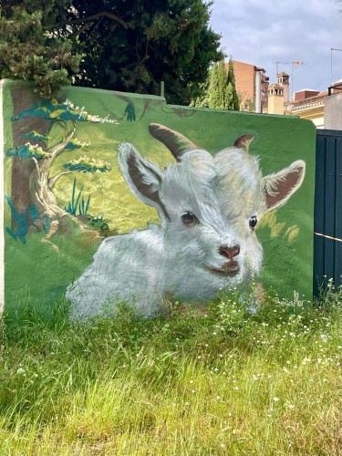 A graffiti? or a painting on a wall, depicting a white goat. The image fits in well with its surroundings, and a tree on the picture “continues” on a real life tree behind the wall