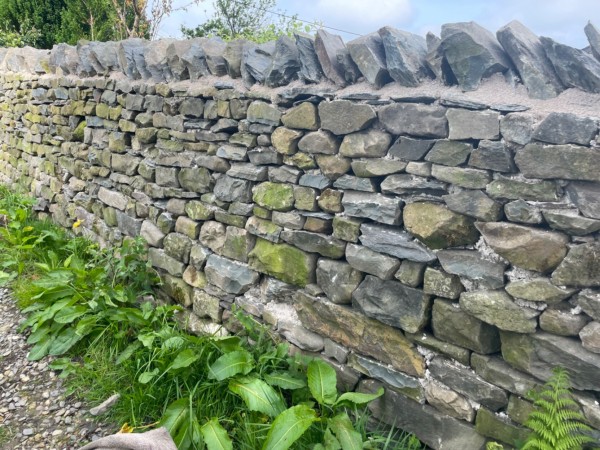 A length of stone wall running next to a gravel path, with some greenery at the base of it.