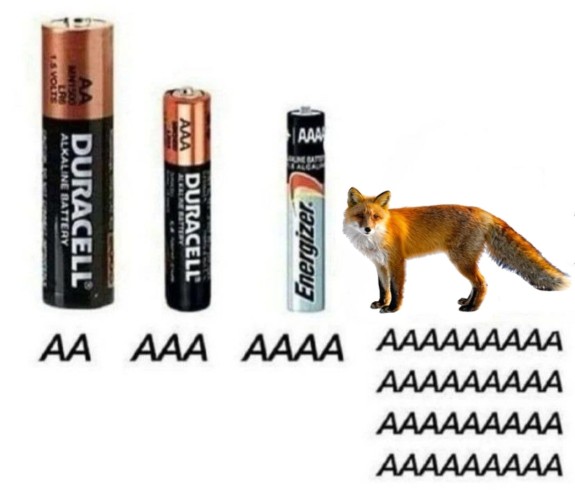 AA battery, AAA battery, AAAA battery and a fox being AAAAAAAAA
