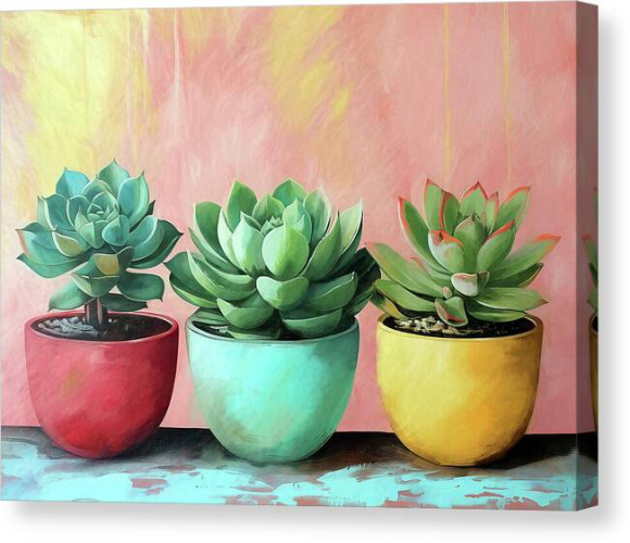 Three succulent plants are depicted in colored pots against a vibrant pink and yellow background. The pots are painted red, blue, and yellow, each housing a green succulent with various shades of green and hints of red on the tips