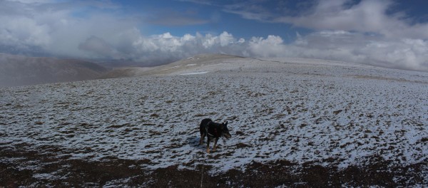 A wide expanse of hillside, with a dusting of fresh snow. Moray the dog is sttod in the foreground. Blue sky with some white clouds.