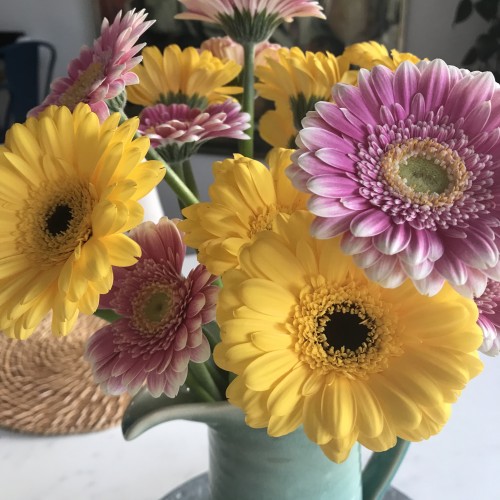 A green ceramic pitcher is filled with bright pink and yellow Gerbera daisies.