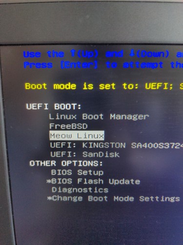 the dell boot picker, one of the listed entries is "meow linux"