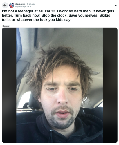 I’m not a teenager at all. I’m 32. I work so hard man. It never gets better. Turn back now. Stop the clock. Save yourselves. Skibidi toilet or whatever the fuck you kids say 

the selfie shown is a man in his 30s in his car