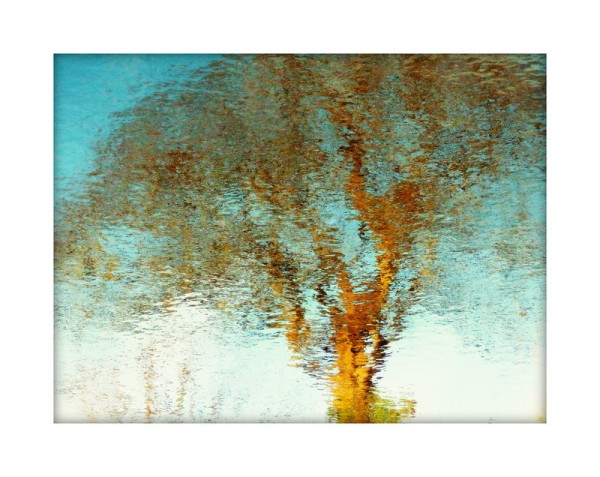A colour photograph of a tree reflected on the river Girvan. The golds and browns of the fragmented reflection are contrasted by the reflected blue sky surrounding.