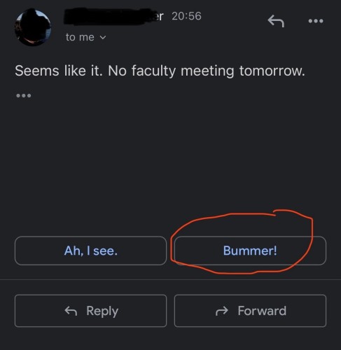 A screenshot of an email exchange where one person is given two automatic responds by Gmail to the notification of no faculty meeting with "Ah, I see." or "Bummer!" The latter is outlined in red to indicate the response that no one ever has.