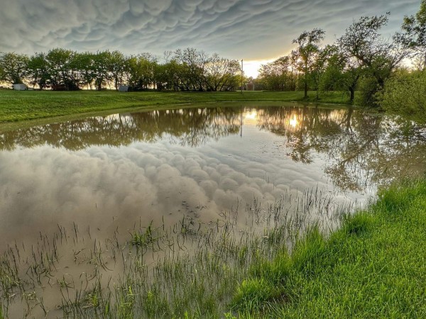Small pond overfilled with excess rain. Green grass surrounds the pond. Trees can be seen in the background with a few trees along the edge of the pond. 
The sky is full of storm clouds, and the 
Reflections can be seen atop the water.