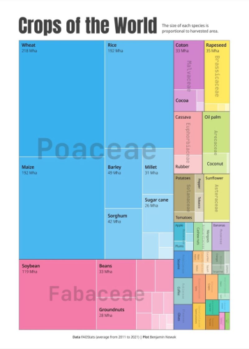 Crops of the world grouped in their families and by relative yield: Poaceae (wheat, corn, rice, et.), Fabaceae (Bean tribe), and then smaller areas of color showing smaller yields of malvaceae, brassiceae, solaceae, and several others too small to read on THIS image.