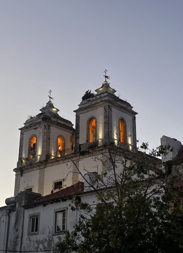 Two illuminated church bell towers at dusk with the silhouette of two stalks on a nest on one of the towers.