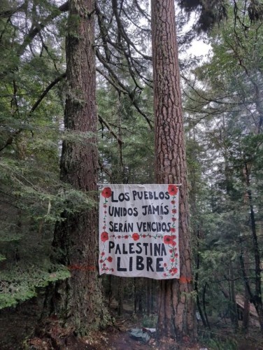Two  trees in a wood with a large banner pinned between them.  A white sheet, bordered by poppies, reads
LOS PUEBLOS UNIDOS JAMÁS SERÁN VENCIDOS
PALESTINA LIBRE
(The people united will never be defeated
Free Palestine)