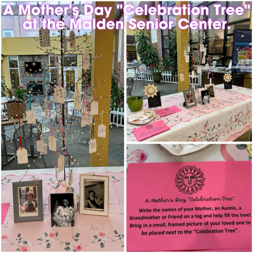 💟Spotted a beautiful reminder of all the amazing moms in our lives today - a Mother's Day "Celebration Tree" at the Malden Senior Center.  💖This tree honors not just mothers, but grandmothers, aunts, and any special woman who has nurtured and loved us🫶🏽  