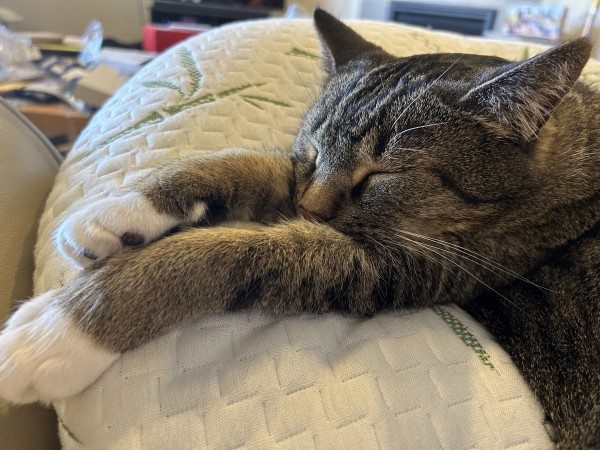 A brown tabby cat with black stripes and white feet lays sprawled on a white pillow. His head is resting on his front legs, which are stretched out in front of him. His eyes are closed and his white whiskers look very long.