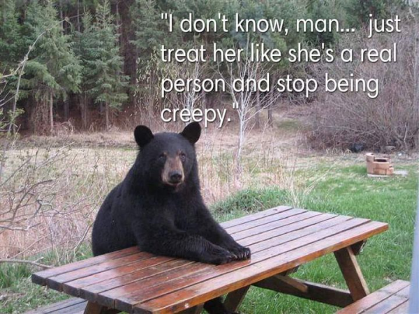 "I don't know, man... just treat her like she's a real person and stop being creepy."

[Photo of a black bear sitting at a picnic table]